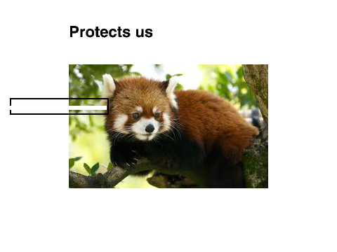 Save the Red Pandas