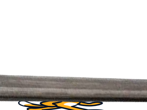 WAIT IS THAT THE
