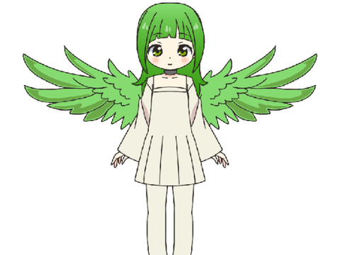 Hana Looks