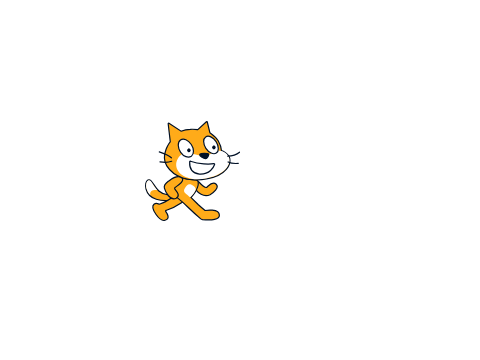 cat running in the dark