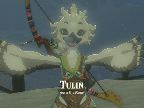 TULIN