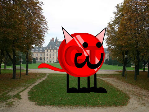 Cat Token