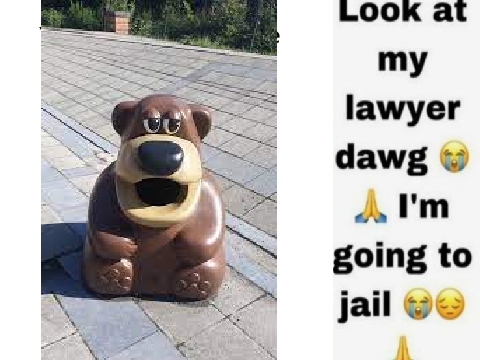 Your 12th saved image is ur lawyer remix