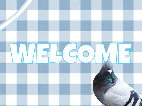 banner for @Moon_Pigeon