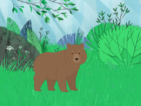 RANDOM ANIMATION || by holly203