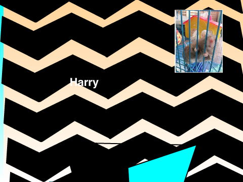 Harry