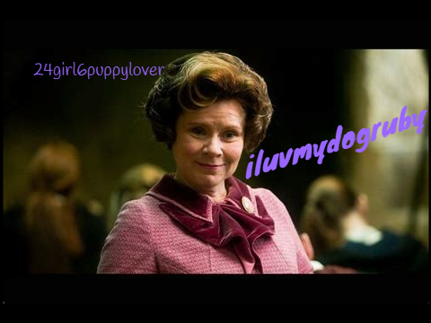 Remix if you think Umbridge is evil