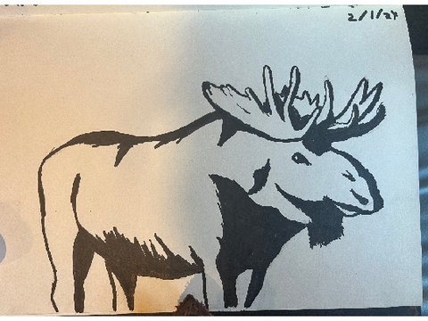 Moose