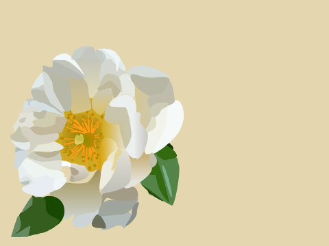 Flower Blockshake