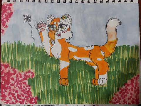 DTIYS entry