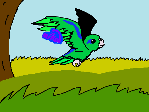 Tilo