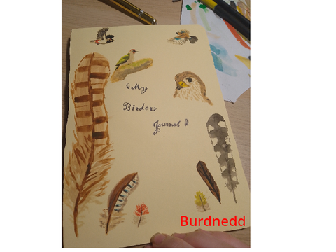My birding journal - facts and stuff