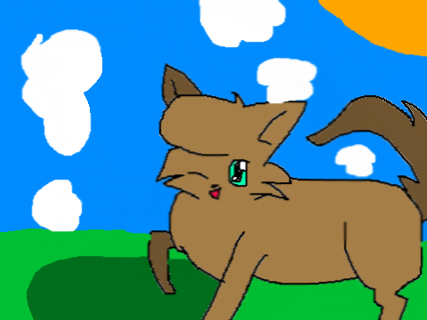 Warrior cats CCE