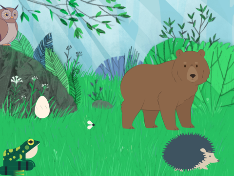 Forest!