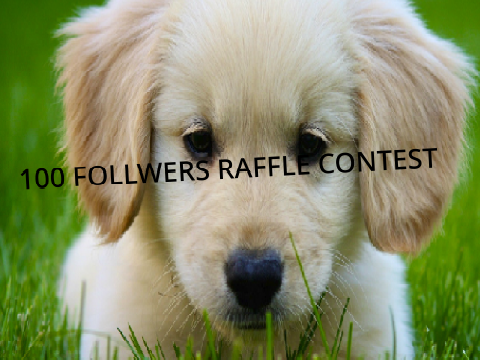 100 FOLLWER RAFFLE CONTEST
