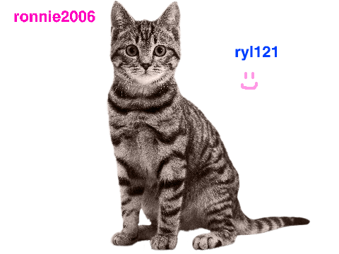 sign here to stop cat crulety remix