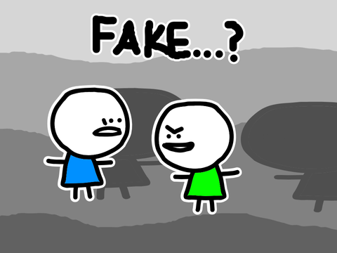 Fake...?