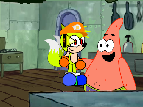 Patrick, that's a Sonic Fan Character.