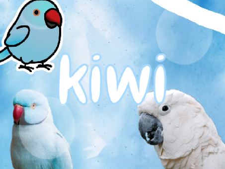 banner for @missarcadia