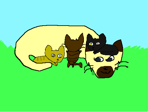 Everyone but Plantera Ignore Please