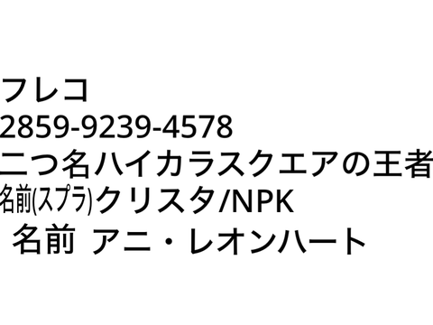 プロフィールです。