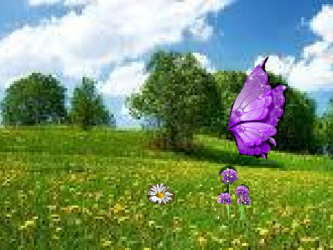 alex pollination