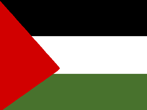 FREE PALESTINE