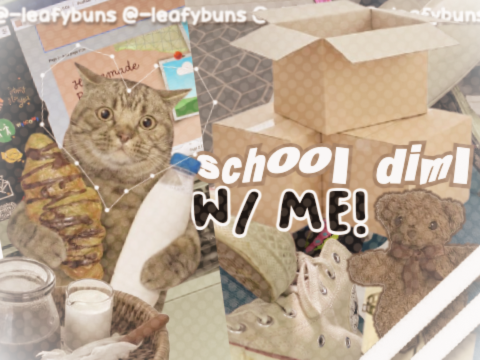 ˚୨୧⋆｡ school diml vlog ｡⋆୨୧˚