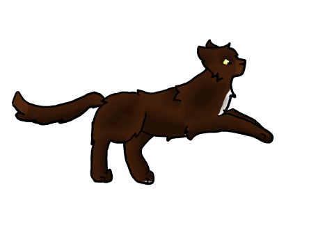 Cat run cycle