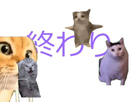 猫ミーム