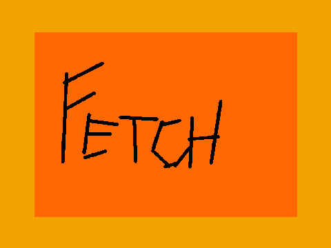 fetch ****