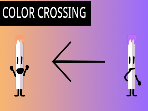 BFAP 2a - Color Crossing