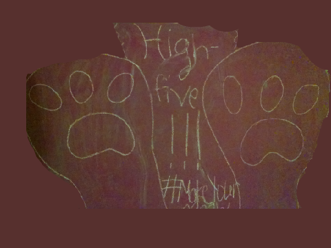 A Picture I Drew