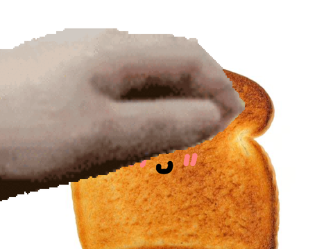 Pet the toast.