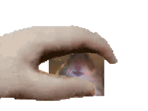 Pet The Hampter