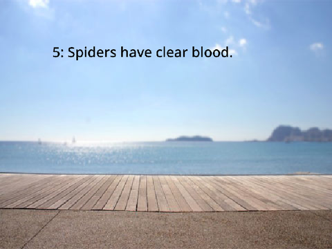 5 disturbing facts you didn't need to hear.