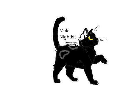 CresecentIvy x Darknight kit