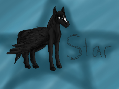 Star!!!! The gurdian herd