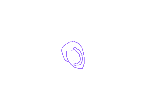 he spinne