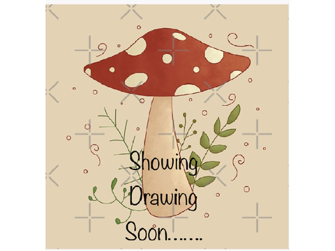 ~Mushroom House Drawing~