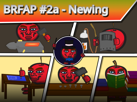 Newing BRFAP #2A 