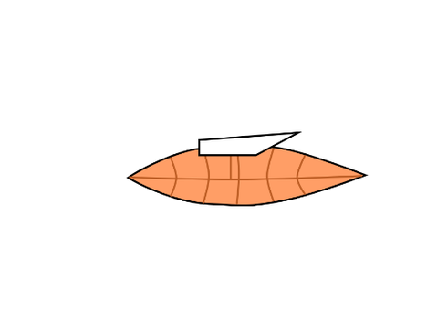Ship Overtop