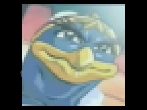 RUN 