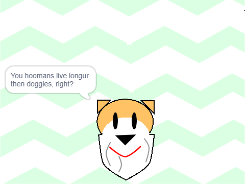 Doggy's life lesson