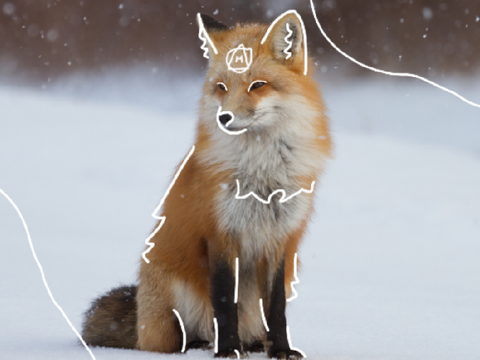 Red fox therian art!! :3