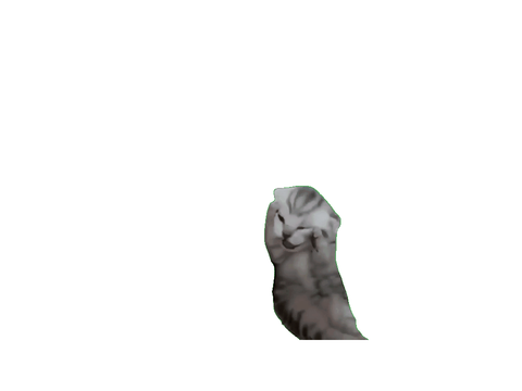 猫ミーム素材集パート3ー1