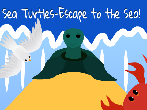 Sea Turtles - Escape to The Sea