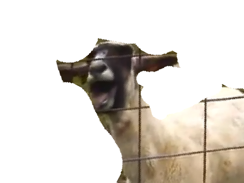 D3F45YHRTGFD