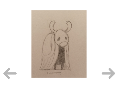 hollow knight