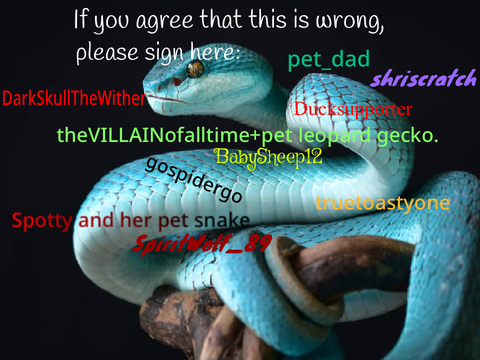 Sign To Stop Snake Hunting!  remix remix remix remix remix remix